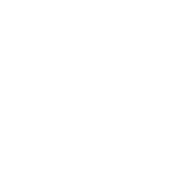 Logo Fondazione Don Silvano Caccia